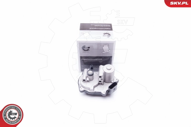 Control, swirl flaps (induction pipe)